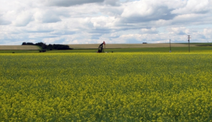 Read more about the article Small Oil and Gas Companies Need Data Management Strategies
